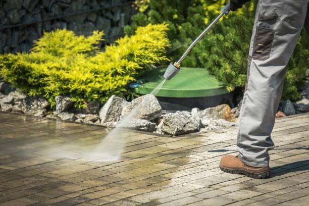 Best Sidewalk and Walkway Cleaning  in Dover, TN